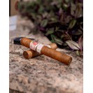 Hoyo De Monterrey Epicure Especial (stick)